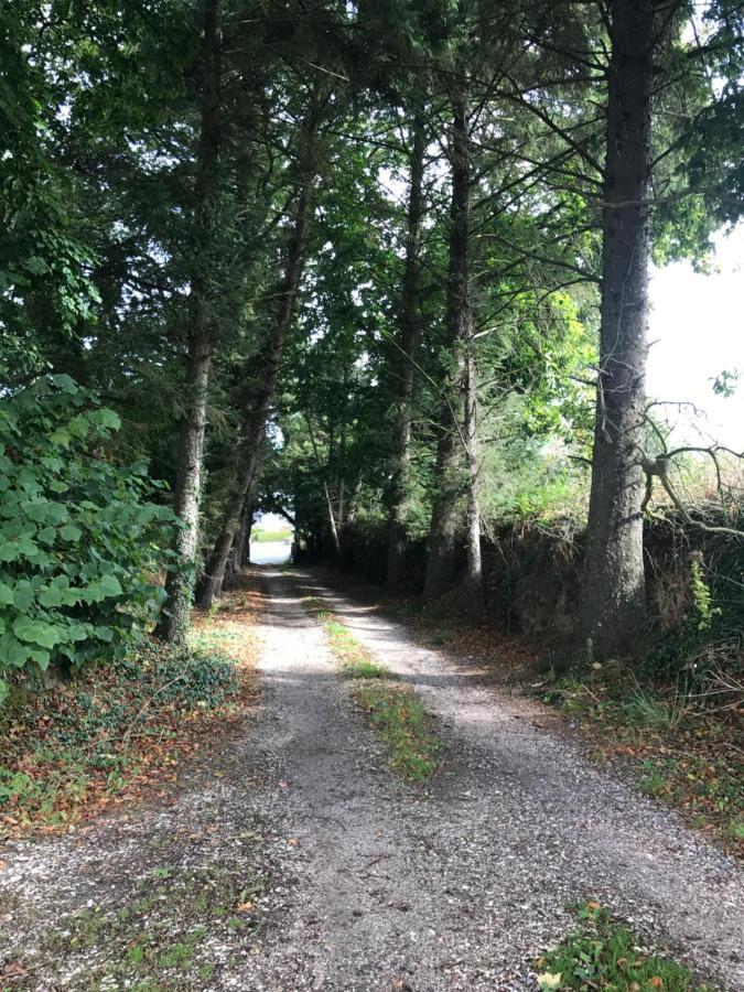 Manoir De Parc Ar Brun